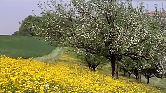 Film Completo Di Una Studentessa Con Una Grande Figa