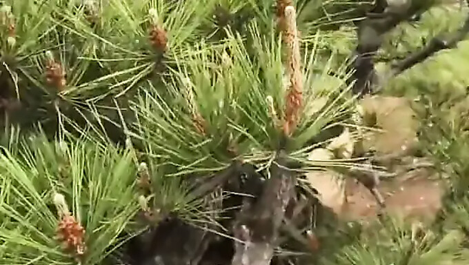 Une Chinoise Profite De La Nature En Public