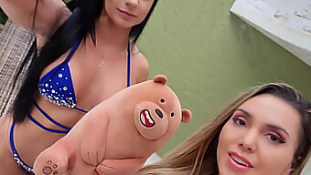 My Teddy Bear Loves My Bolivianamimi.Tv Pussy