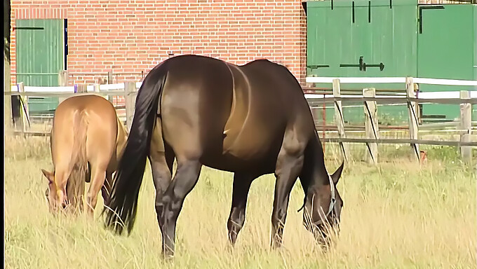 Une Adolescente De 18 Ans Avec De Gros Mamelons Profite De La Masturbation En Plein Air