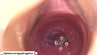 Vagina And Anal Camera Action