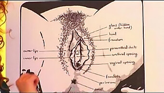 The Art Of Oral Pleasure: Cunnilingus