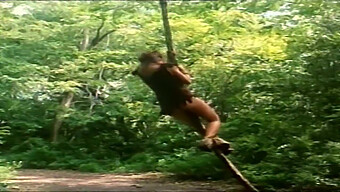 Tarzan X: Det Klassiska Äventyret I Hd