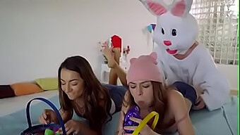 Surpresa De Páscoa Para Uma Sortuda Bunny